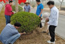 Bồi dưỡng kiến thức về trồng và chăm sóc cây xanh đô thị