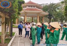 Bồi dưỡng kiến thức về trồng, chăm sóc cắt tỉa, duy trì cây xanh Giáo viên hướng dẫn học viên cách điều trị sâu đục thân trên cây cổ thụ