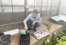 Đào tạo kỹ thuật trồng và chăm sóc cây xanh Học viên thực hành pha thuốc và nhân giống cây