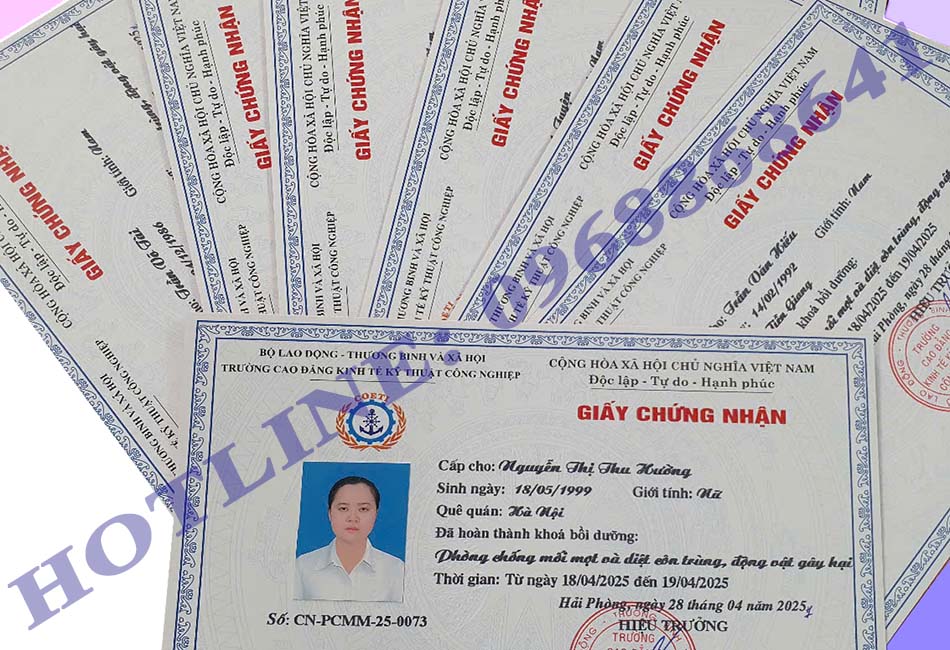 Chứng chỉ phòng chống mối mọt diệt côn trùng động vật gây hại
